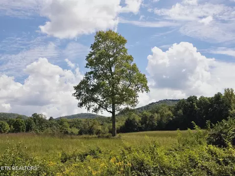 Piney Grove Rd, Oneida, TN 37841