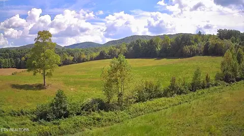 Piney Grove Rd, Oneida, TN 37841 photo 24