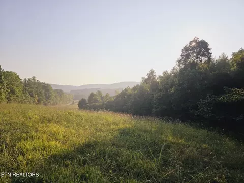 Piney Grove Rd, Oneida, TN 37841 photo 5