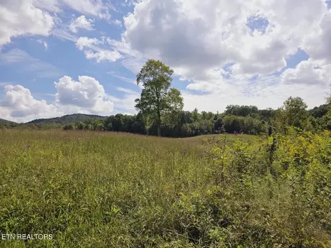 Piney Grove Rd, Oneida, TN 37841 photo 3