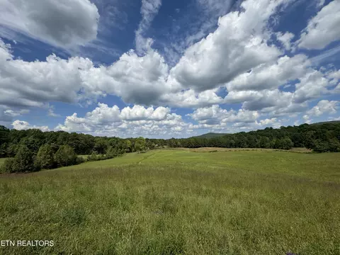 Piney Grove Rd, Oneida, TN 37841 photo 15