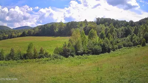 Piney Grove Rd, Oneida, TN 37841 photo 21
