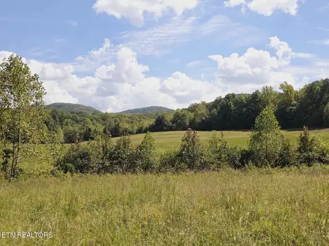 Piney Grove Rd, Oneida, TN 37841 photo 34