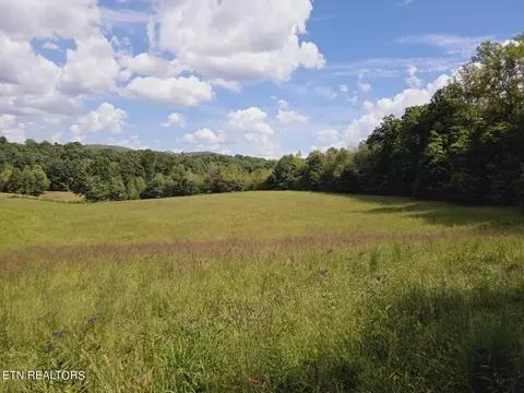 Piney Grove Rd, Oneida, TN 37841 photo 41
