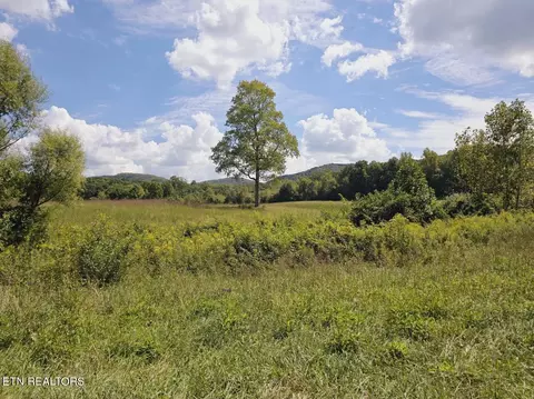 Piney Grove Rd, Oneida, TN 37841 photo 35