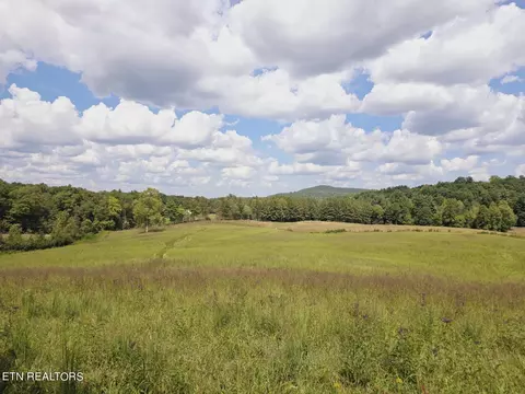 Piney Grove Rd, Oneida, TN 37841 photo 39