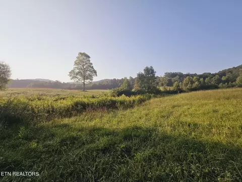 Piney Grove Rd, Oneida, TN 37841 photo 8