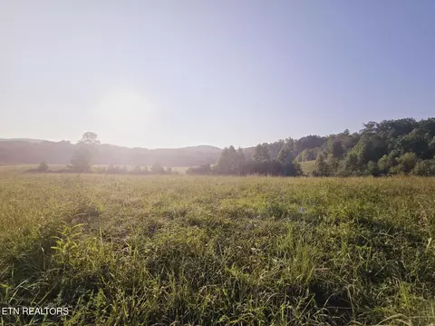 Piney Grove Rd, Oneida, TN 37841 photo 4
