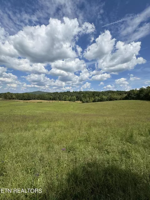 Piney Grove Rd, Oneida, TN 37841 photo 17
