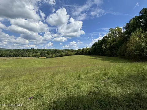 Piney Grove Rd, Oneida, TN 37841 photo 16
