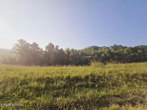 Piney Grove Rd, Oneida, TN 37841 photo 13