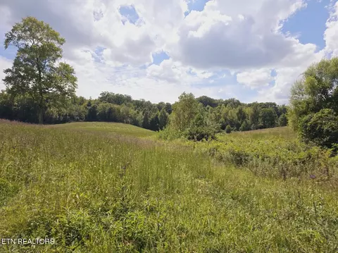 Piney Grove Rd, Oneida, TN 37841 photo 2