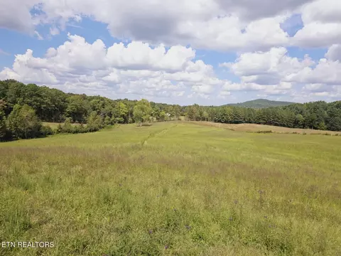 Piney Grove Rd, Oneida, TN 37841 photo 43