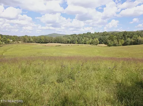 Piney Grove Rd, Oneida, TN 37841 photo 40