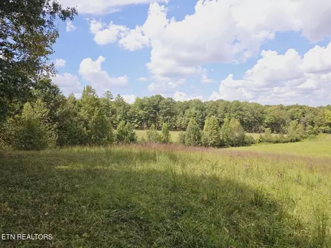 Piney Grove Rd, Oneida, TN 37841 photo 38