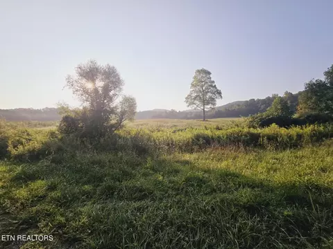 Piney Grove Rd, Oneida, TN 37841 photo 9