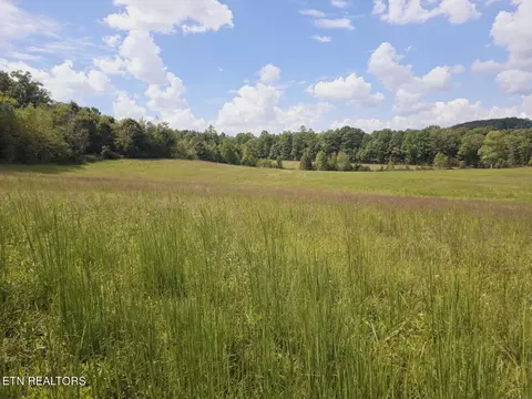 Piney Grove Rd, Oneida, TN 37841 photo 45