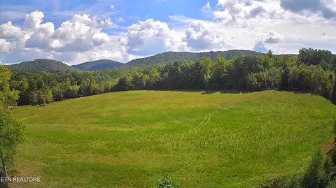 Piney Grove Rd, Oneida, TN 37841 photo 25