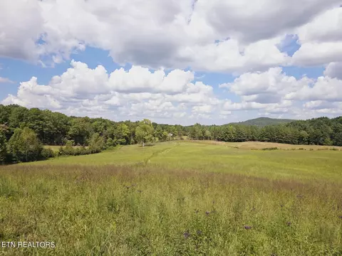 Piney Grove Rd, Oneida, TN 37841 photo 42