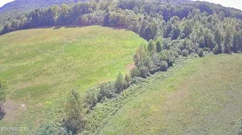 Piney Grove Rd, Oneida, TN 37841 photo 30
