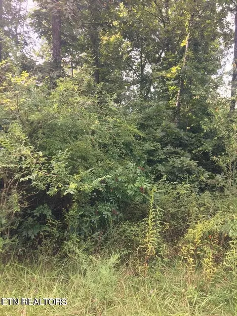 6028 Running Creek Dr, Crossville, TN 38572