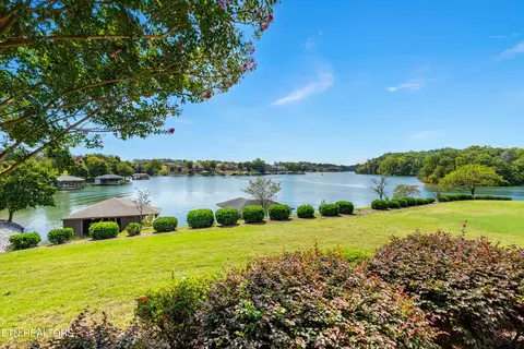 255 Bay Pointe Rd, Vonore, TN 37885 photo 18