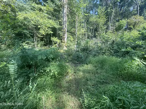 New Corinth Rd, Rutledge, TN 37861