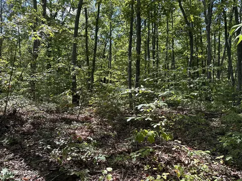 lot125 Raspberry Ln, Jamestown, TN 38556