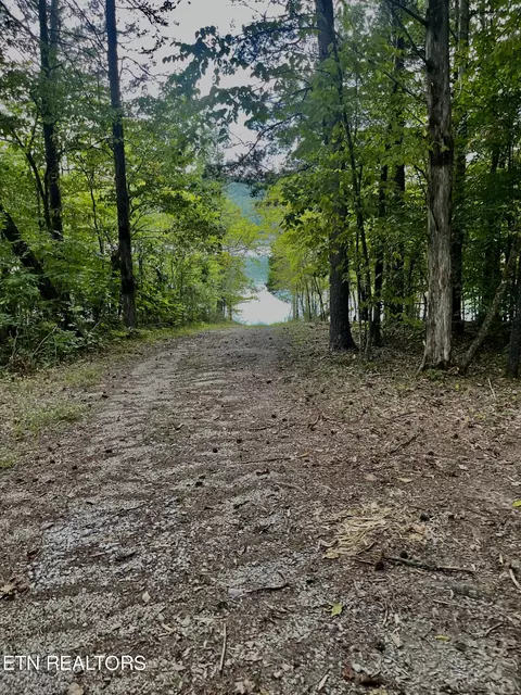 Other - 295 Bob Wright Rd, Maynardville, TN 37807 photo 6 of 7