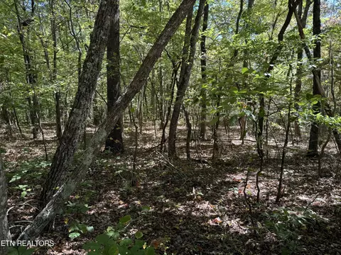 tower rd, Monterey, TN 38574