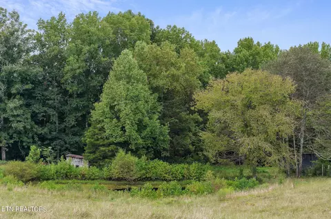 Exterior - 217 Joppa Rd, Alpine, TN 38543 photo 5 of 19