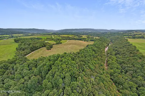Other - 217 Joppa Rd, Alpine, TN 38543 photo 13 of 26