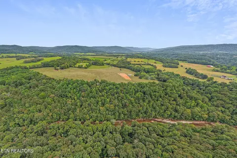 Other - 217 Joppa Rd, Alpine, TN 38543 photo 12 of 26