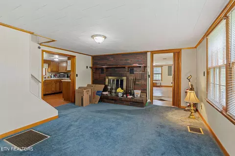 Living - 217 Joppa Rd, Alpine, TN 38543 photo 4 of 4