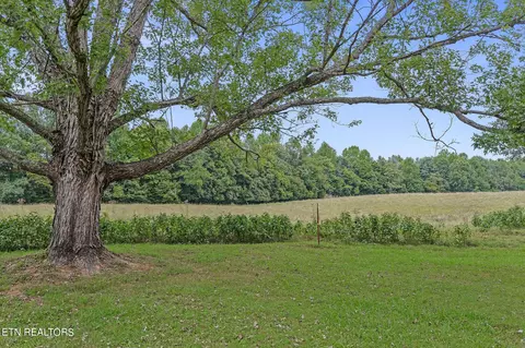 Exterior - 217 Joppa Rd, Alpine, TN 38543 photo 18 of 19