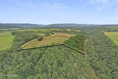 Other - 217 Joppa Rd, Alpine, TN 38543 photo 14 of 26