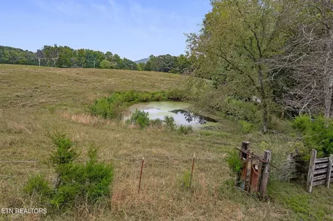 Other - 217 Joppa Rd, Alpine, TN 38543 photo 1 of 26