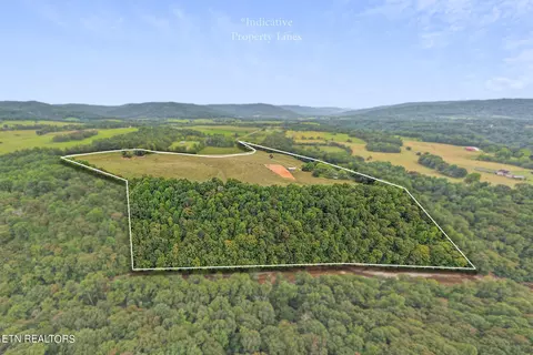 View/Area - 217 Joppa Rd, Alpine, TN 38543 photo 2 of 4