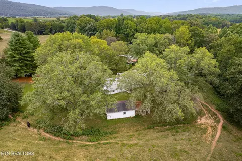Other - 217 Joppa Rd, Alpine, TN 38543 photo 3 of 26