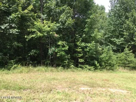 Crest View Drive, Sunbright, TN 37872