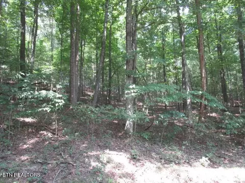 Cabbage Rd, Blaine, TN 37709
