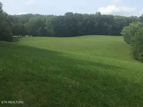 Tract 1 Ramsey Rd, Sneedville, TN 37869