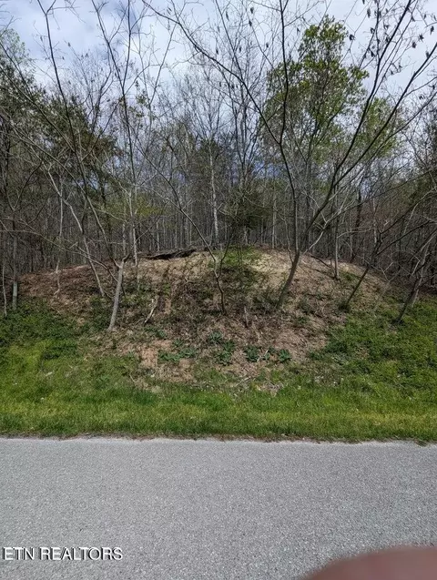 tbd Bluff View Rd, New Tazewell, TN 37825