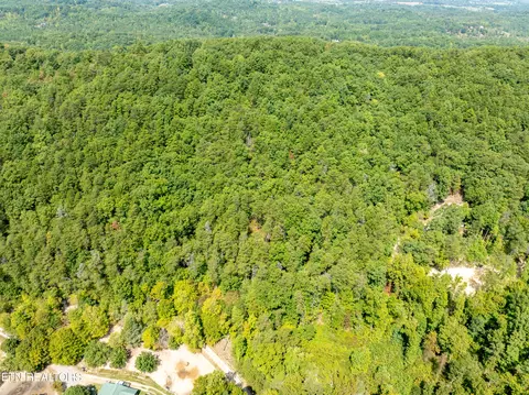 Butterfly Hollow Lot 7 Rd, Maryville, TN 37803
