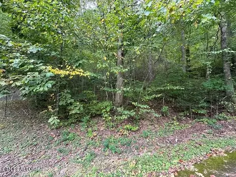 lot63 R Bluestone Way, Townsend, TN 37882