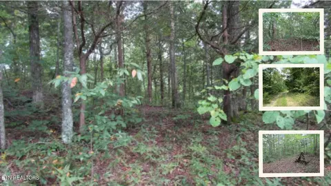 5 017ac Backwoods Trl, Celina, TN 38551