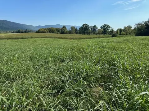 4 Ac General Carl W Stiner Hwy, La Follette, TN 37766