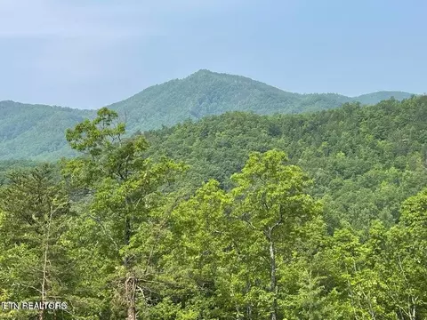 lot1 Caney Creek Rd, Pigeon Forge, TN 37863