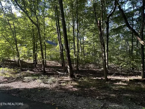 234 Gadusi Way, Loudon, TN 37774