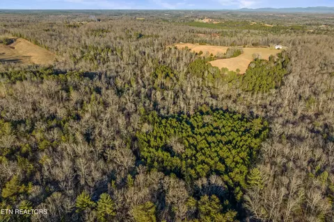 High Point Rd, Deer Lodge, TN 37726 photo 15